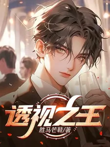 《透视之王》小说封面