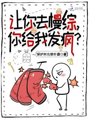 《让你去慢综，你给我发疯？》小说封面