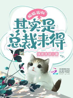 《猫猫我啊，其实是总裁来得》小说封面