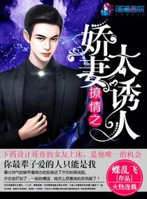 《撩情之娇妻太诱人》小说封面