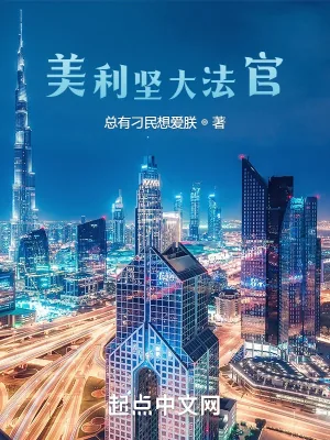 《美利坚大法官》小说封面
