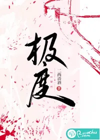 《极度》小说封面