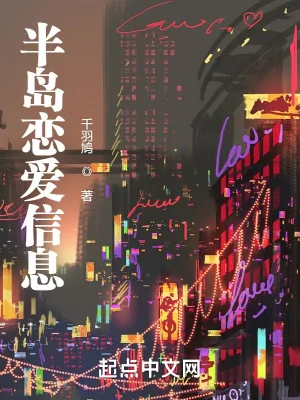 《半岛恋爱信息》小说封面