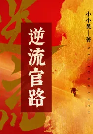 《逆流官路》小说封面