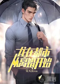 《龙在都市，从离婚开始》小说封面