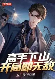 《高手下山，开局即无敌》小说封面