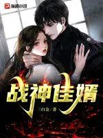 《战神佳婿》小说封面