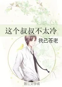 《这个叔叔不太冷》小说封面