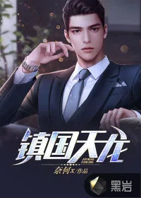 《镇国天龙》小说封面