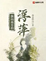 《飘向南方的浮萍》小说封面