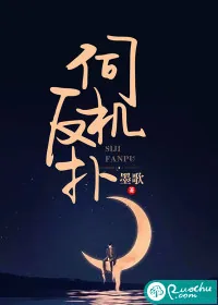 《伺机反扑》小说封面