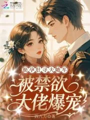 《挺孕肚寻夫随军，被禁欲大佬爆宠》小说封面