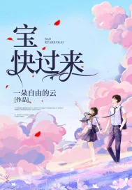 《宝，快过来》小说封面