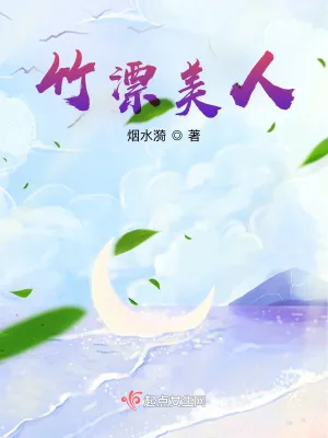 《竹漂美人》小说封面