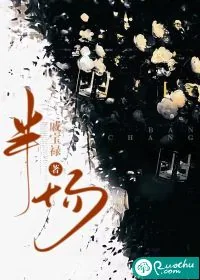 《半场》小说封面