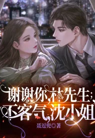 《谢谢N林先生，不客Q沈小姐》小说封面