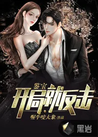 《鉴宝：开局就反击》小说封面