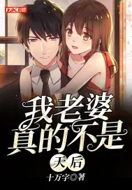 《我老婆真的不是天后》小说封面