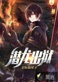 《潜龙出狱》小说封面