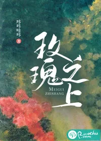 《玫瑰之上》小说封面