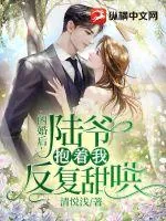 《闪婚后，陆爷抱着我反复甜哄》小说封面