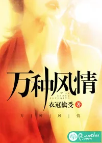 《万种风情》小说封面