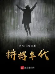 《拼搏年代》小说封面