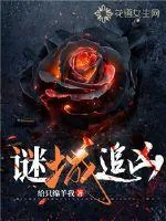 《谜城追凶》小说封面