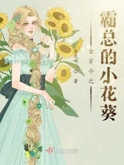 《古穿今之霸总的小花葵》小说封面