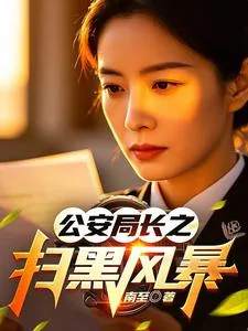 《公安局长之扫黑风暴》小说封面