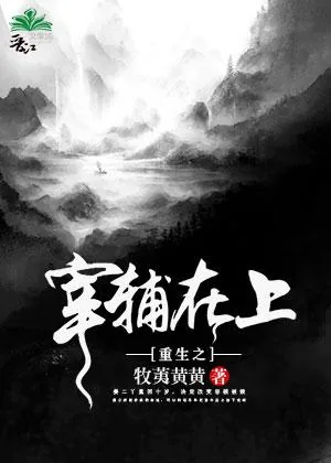 《重生之宰辅在上》小说封面