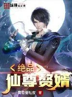 《绝品仙尊赘婿》小说封面