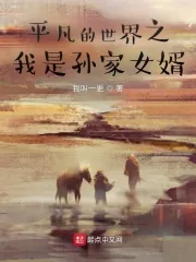 《平凡的世界之我是孙家女婿》小说封面