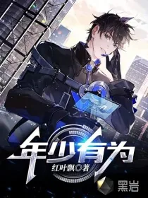 《年少有为》小说封面