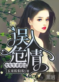 《误入危情：沈先生求放过》小说封面