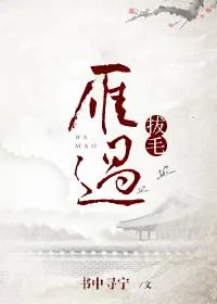 《雁过拔毛》小说封面