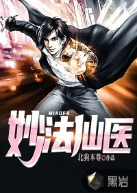 《妙法仙医》小说封面