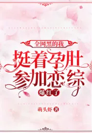 《全网黑的我挺着孕肚参加恋综，爆红了》小说封面