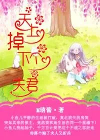 《天上掉下个夫君》小说封面