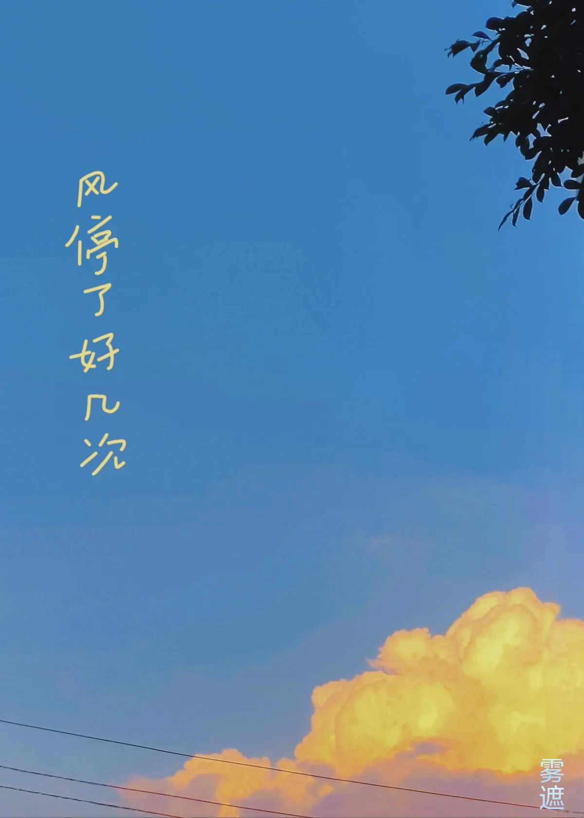 《风停了好几次》小说封面