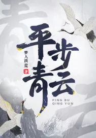 《平步青云》小说封面