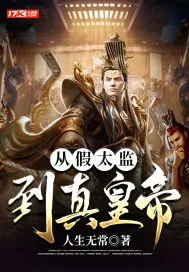 《从假太监到真皇帝》小说封面