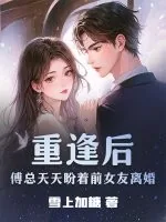 《重逢后，傅总天天盼着前女友离婚》小说封面