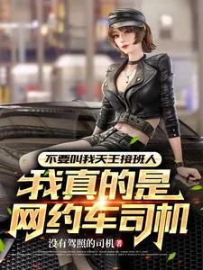 《开着网约车唱着歌，女明星请上车》小说封面