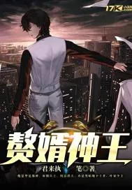 《赘婿神王》小说封面