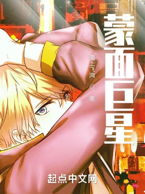 《蒙面巨星》小说封面