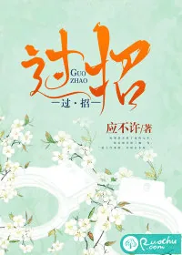 《过招》小说封面
