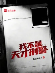 《我不是天才刑警》小说封面