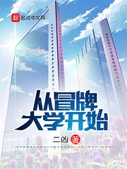 《从冒牌大学开始》小说封面