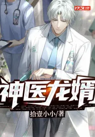 《神医龙婿》小说封面